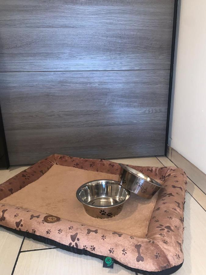 Apartment Owl Корженов Экстерьер фото